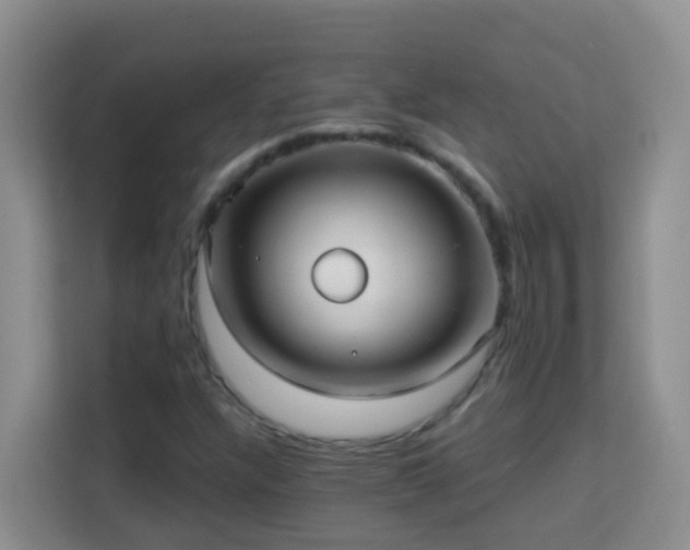 X0000114081304200910051350