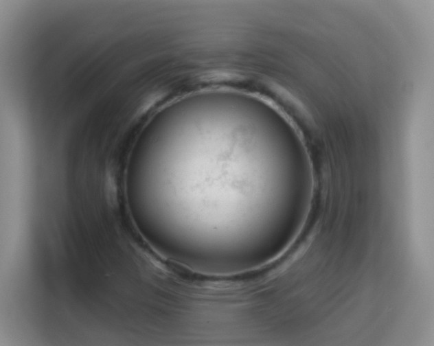 X0000114081305200910051350