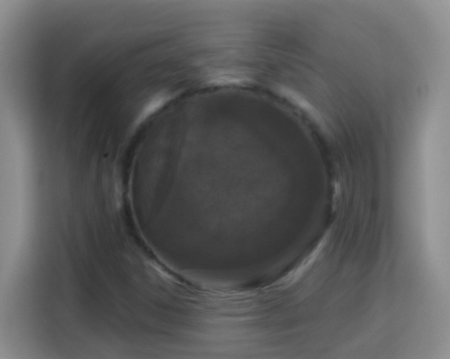 X0000114081306200910051350