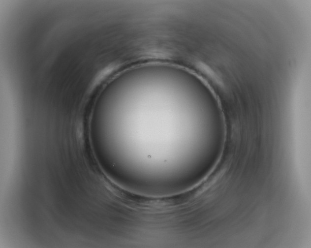 X0000114081307200910051350