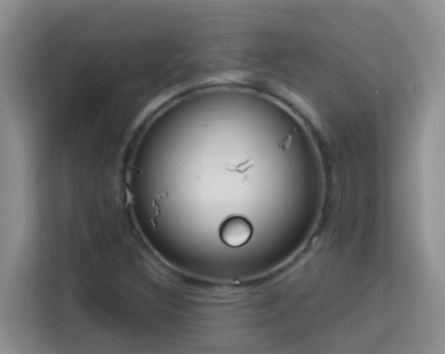 X0000114081308200910051350