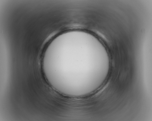 X0000114081309200910051350