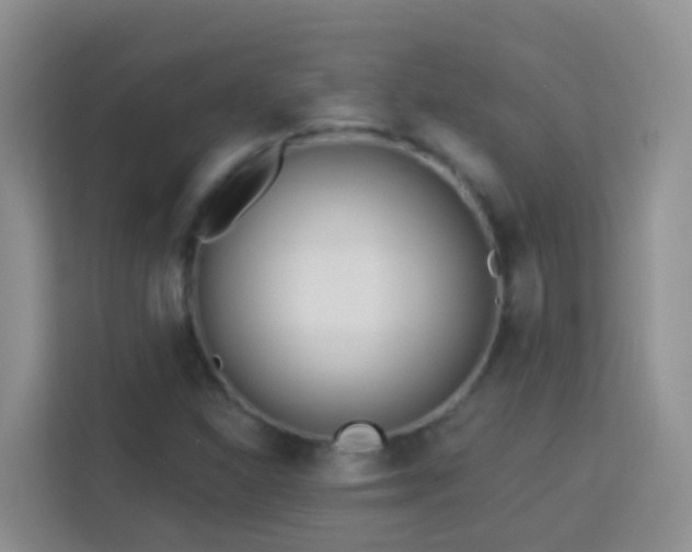 X0000114081310200910051350