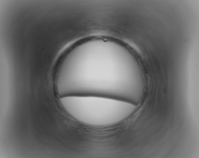 X0000114081311200910051350