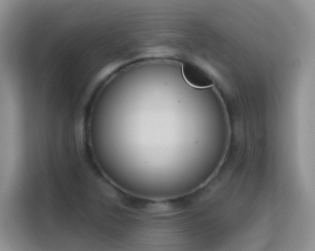 X0000114081315200910051350