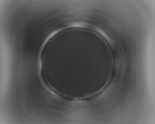 X0000114081323200910051350