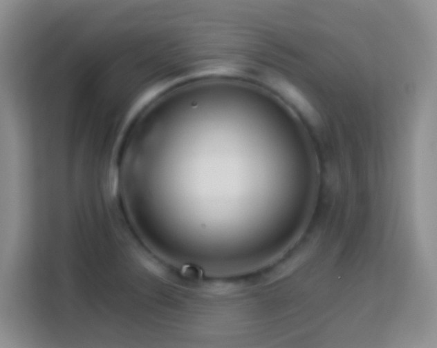 X0000114081324200910051350