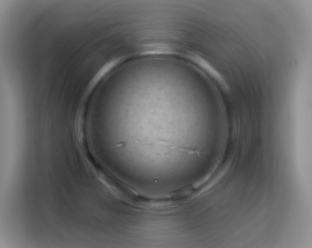 X0000114081325200910051350