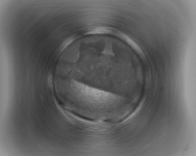 X0000114081329200910051351