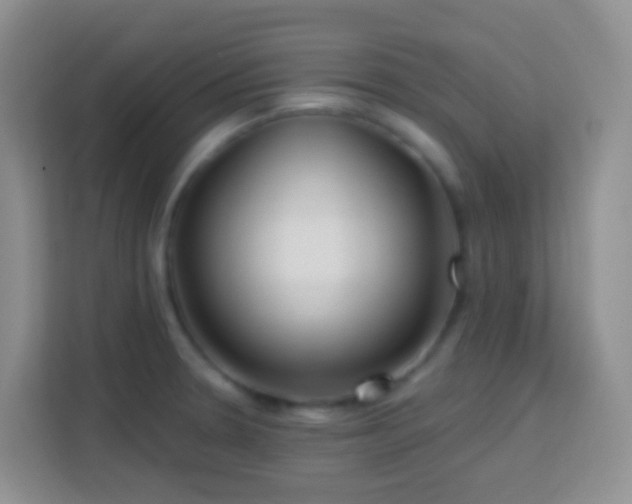 X0000114081330200910051351