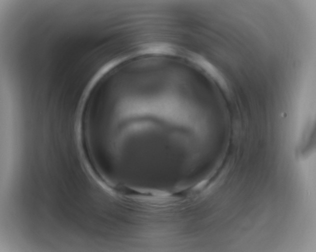 X0000114081331200910051351