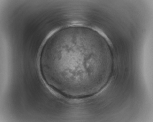 X0000114081333200910051351