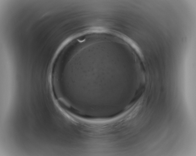 X0000114081334200910051351