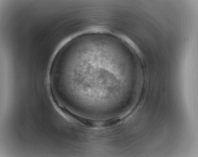 X0000114081335200910051351