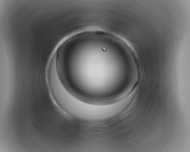 X0000114081342200910051351