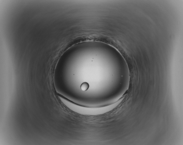 X0000114081345200910051350