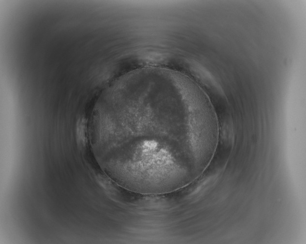 X0000114081346200910051350