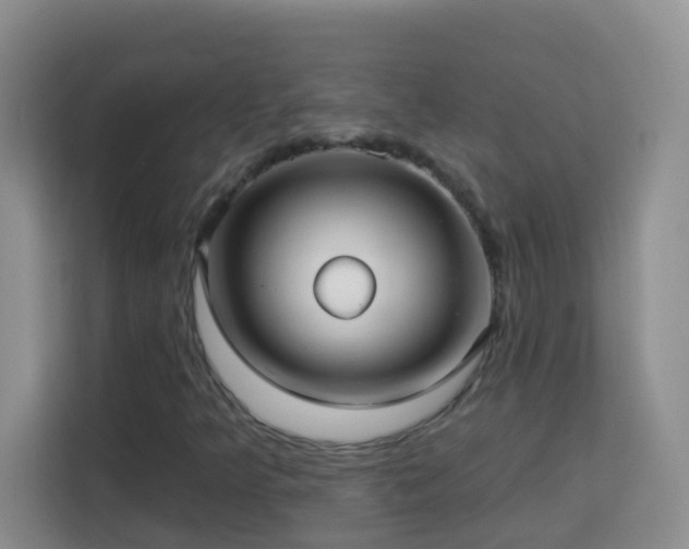 X0000114081349200910051350