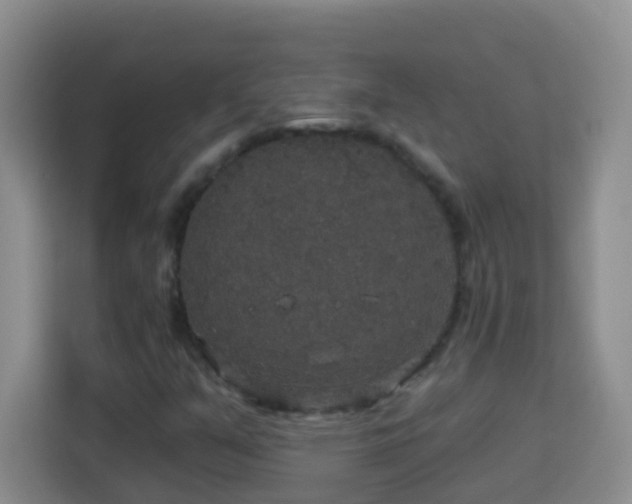 X0000114081351200910051350