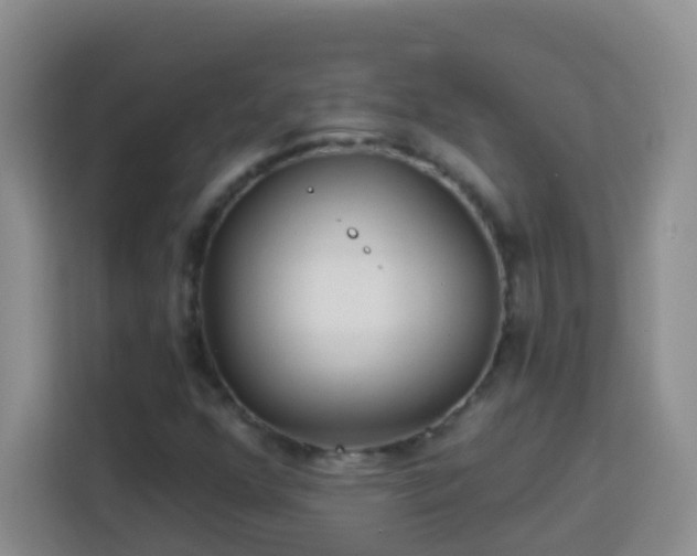 X0000114081352200910051350