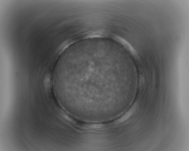 X0000114081353200910051350