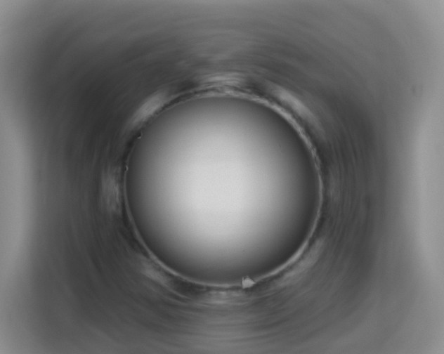 X0000114081354200910051350