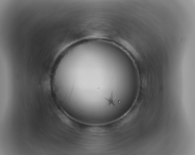 X0000114081356200910051350