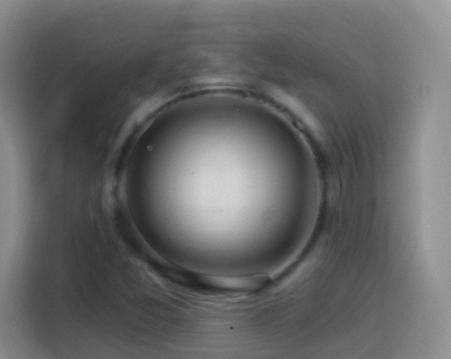 X0000114081357200910051350