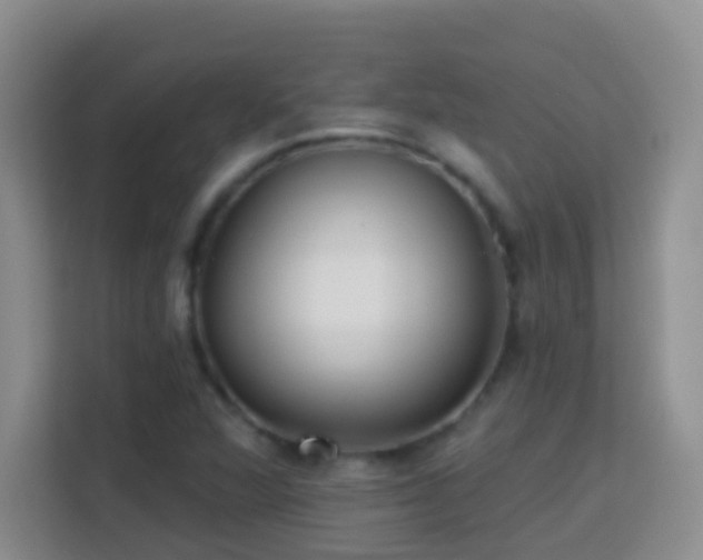 X0000114081360200910051350