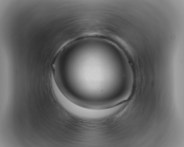 X0000114081361200910051350