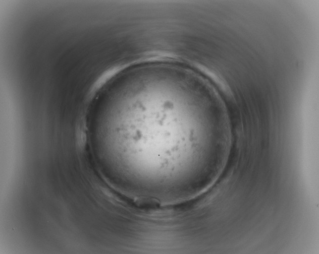 X0000114081363200910051350