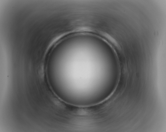 X0000114081364200910051350