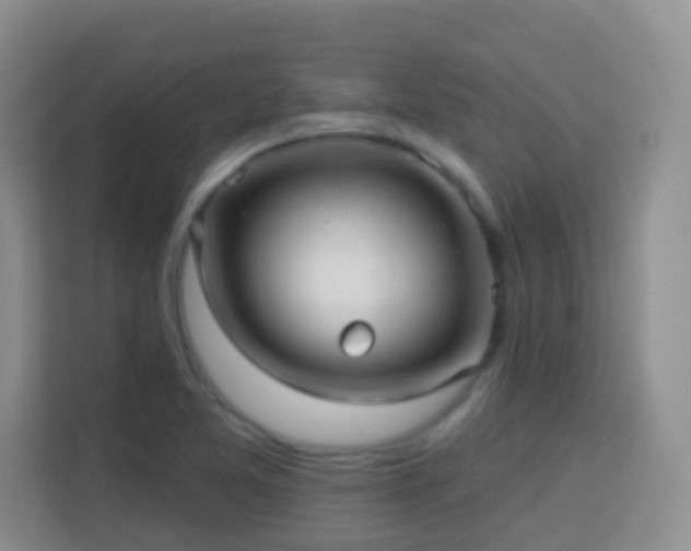 X0000114081365200910051350