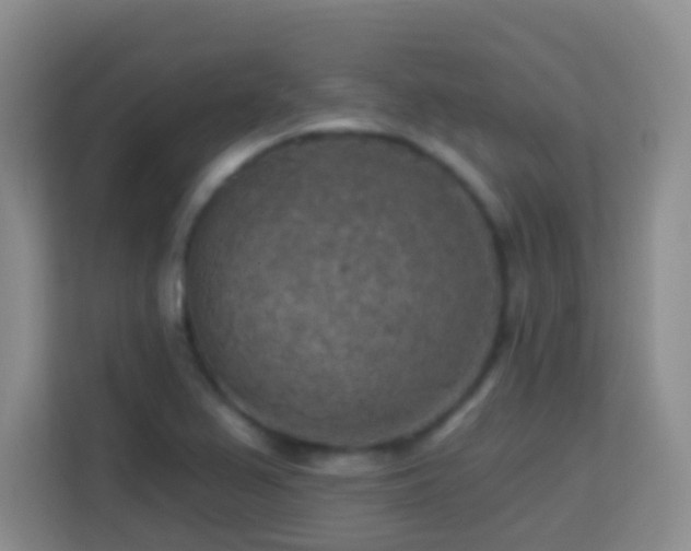 X0000114081367200910051350