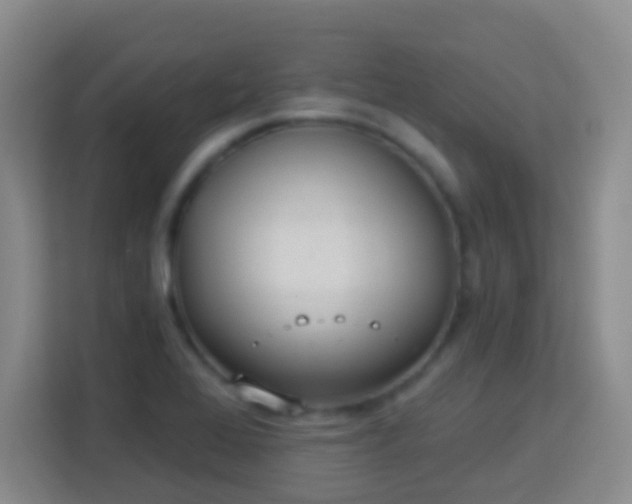 X0000114081368200910051350