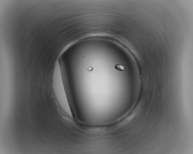 X0000114081369200910051350