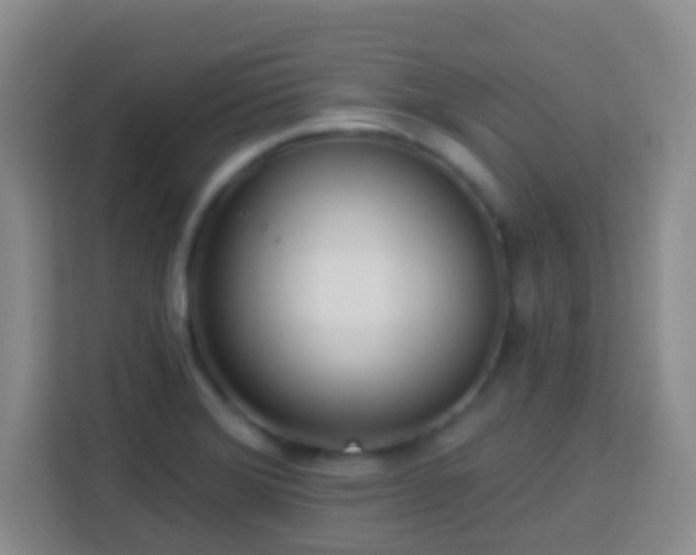 X0000114081372200910051350