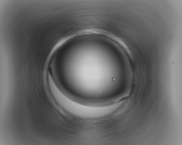 X0000114081373200910051350