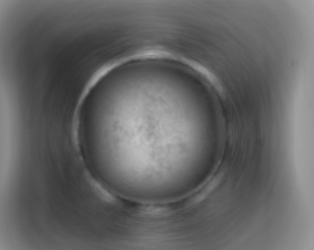 X0000114081374200910051350