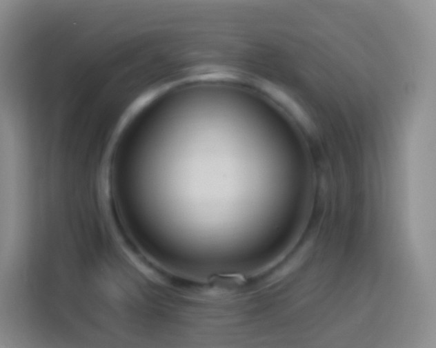 X0000114081375200910051350