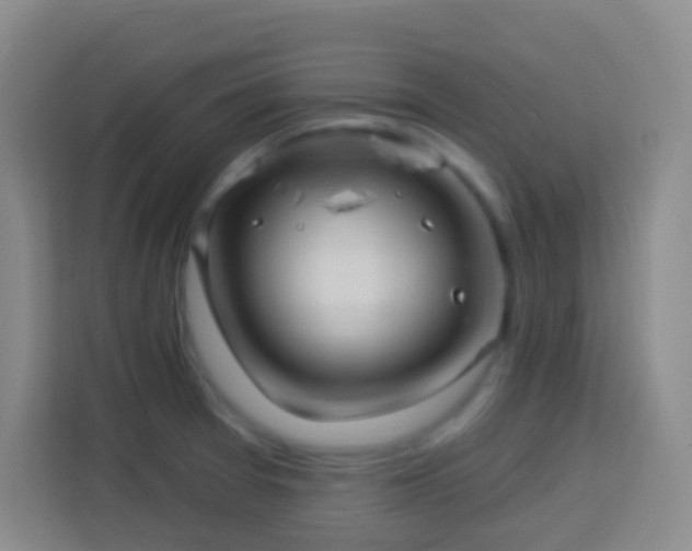 X0000114081377200910051350