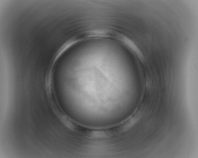 X0000114081378200910051350