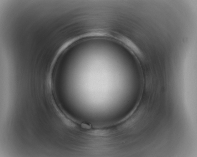 X0000114081380200910051350