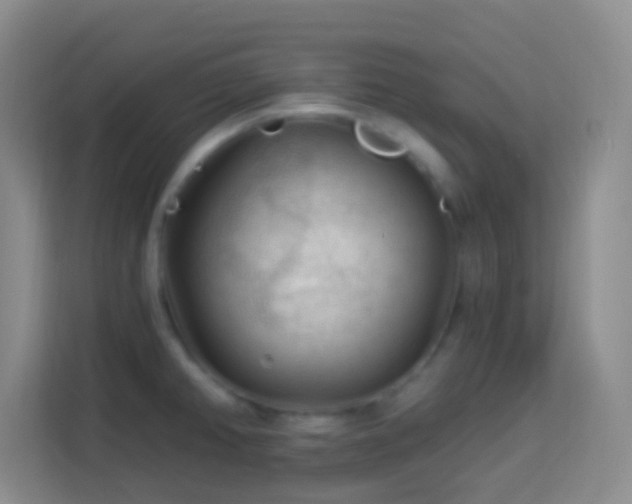 X0000114081382200910051350