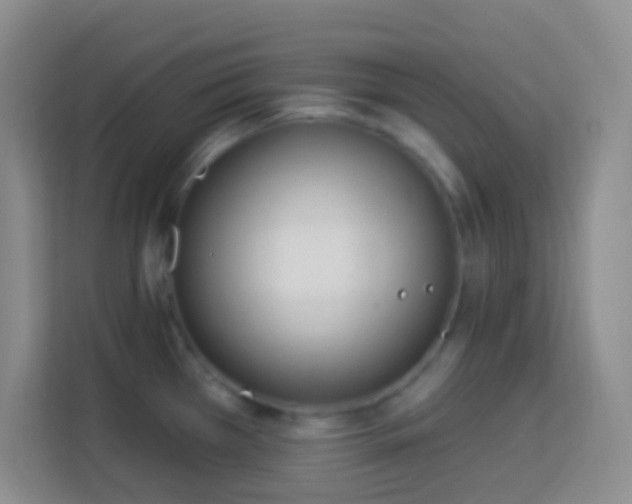 X0000114081385200910051350