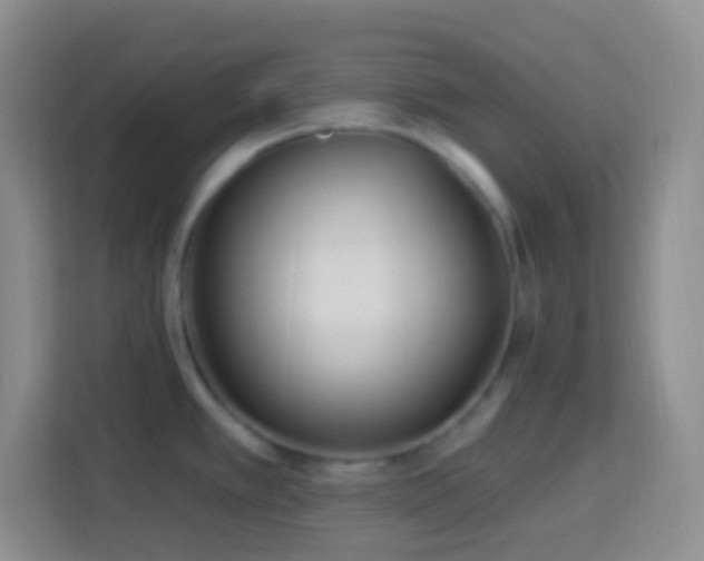 X0000114081389200910051350