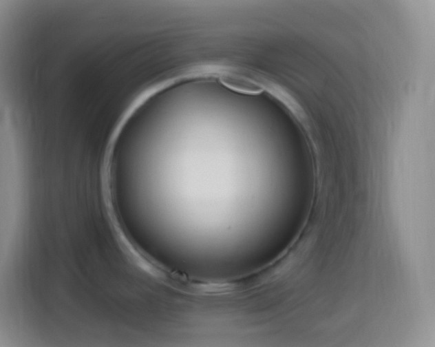 X0000114081392200910051349