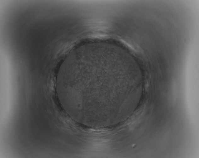 X0000114081397200910051349