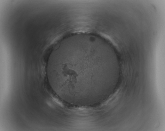 X0000114081399200910051349