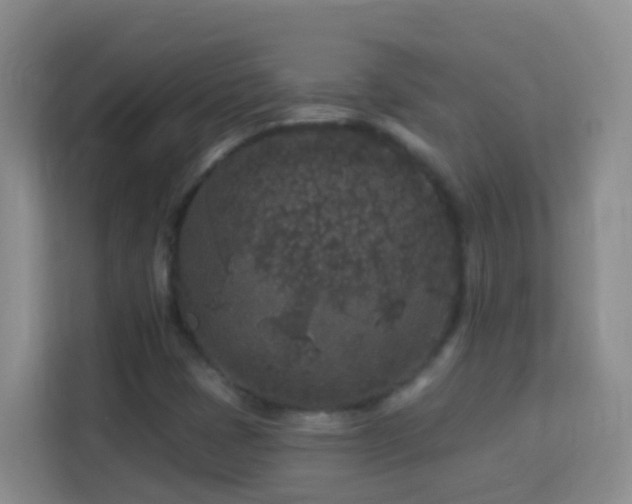 X0000114081401200910051349